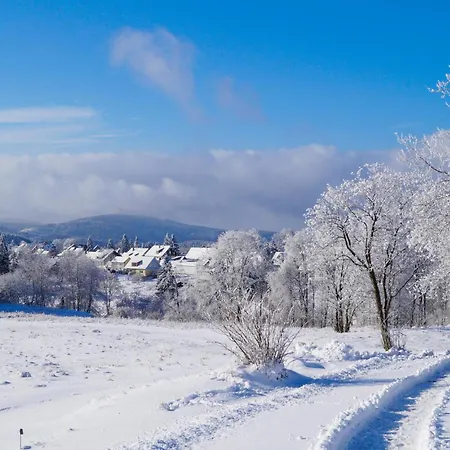 Ferienhauspark Holiday home