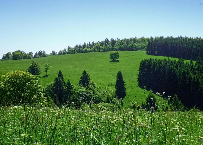 Ferienhauspark Tatil Evi Hasselfelde