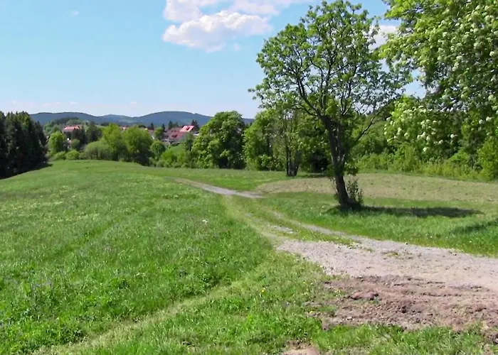 Ferienhauspark Hasselfelde